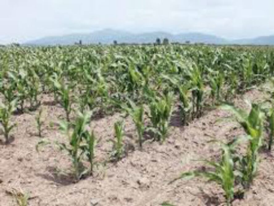 Inauguran Foro para Transformar al Campo