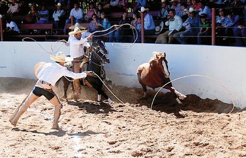 Los Tres Potrillos triunfan  en El Pitayo