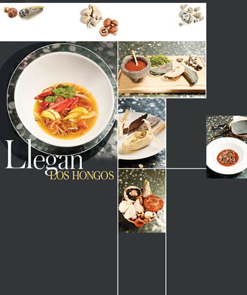 Llegan los Hongos a la cocina