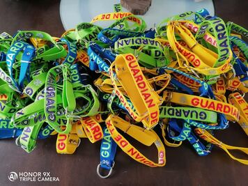 Video. Con collares, dan personalidad a los perros de la calle en Querétaro