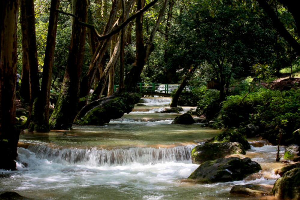 La Biósfera de Sierra Gorda se califica como la zona protegida más diversa en ecosistemas a nivel nacional (ARCHIVO EL UNIVERSAL)