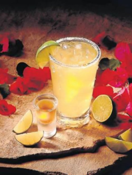 Sazón del maestro experto