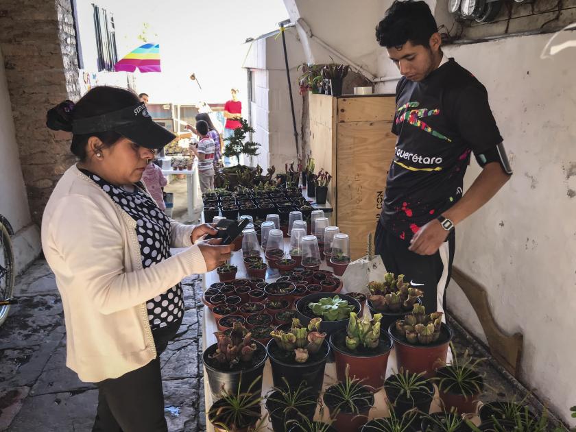 #NuestrasHistorias: Difunden aprendizaje en la venta de plantas carnívoras