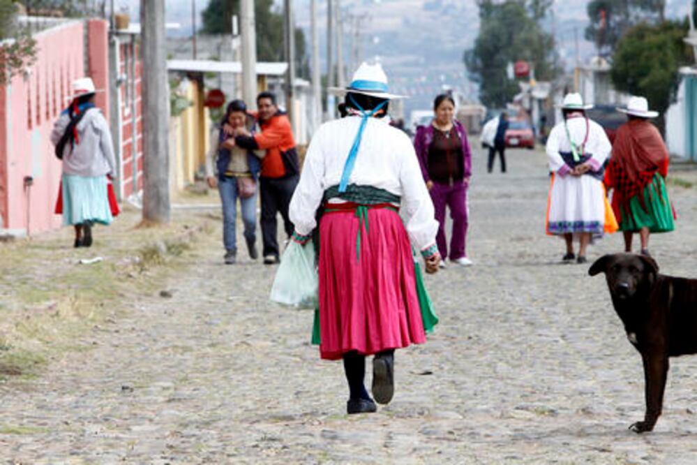 Francisco Domínguez: vamos a enfrentar cualquier recorte