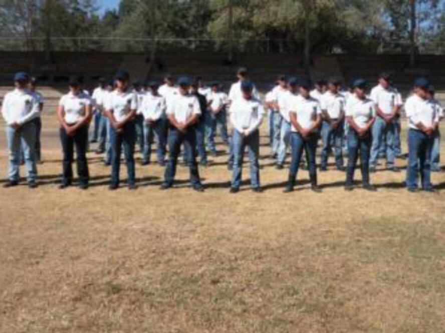 Aplicación de pruebas con severidad