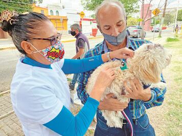 “Contra la rabia, no bajamos la guardia”