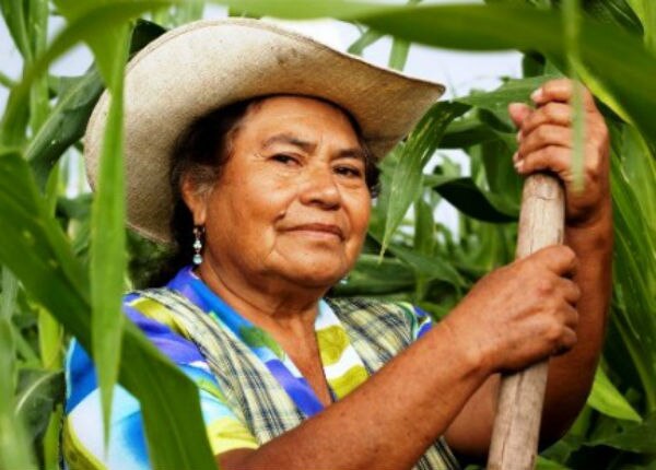 Integran padrón de jefas de  familia 