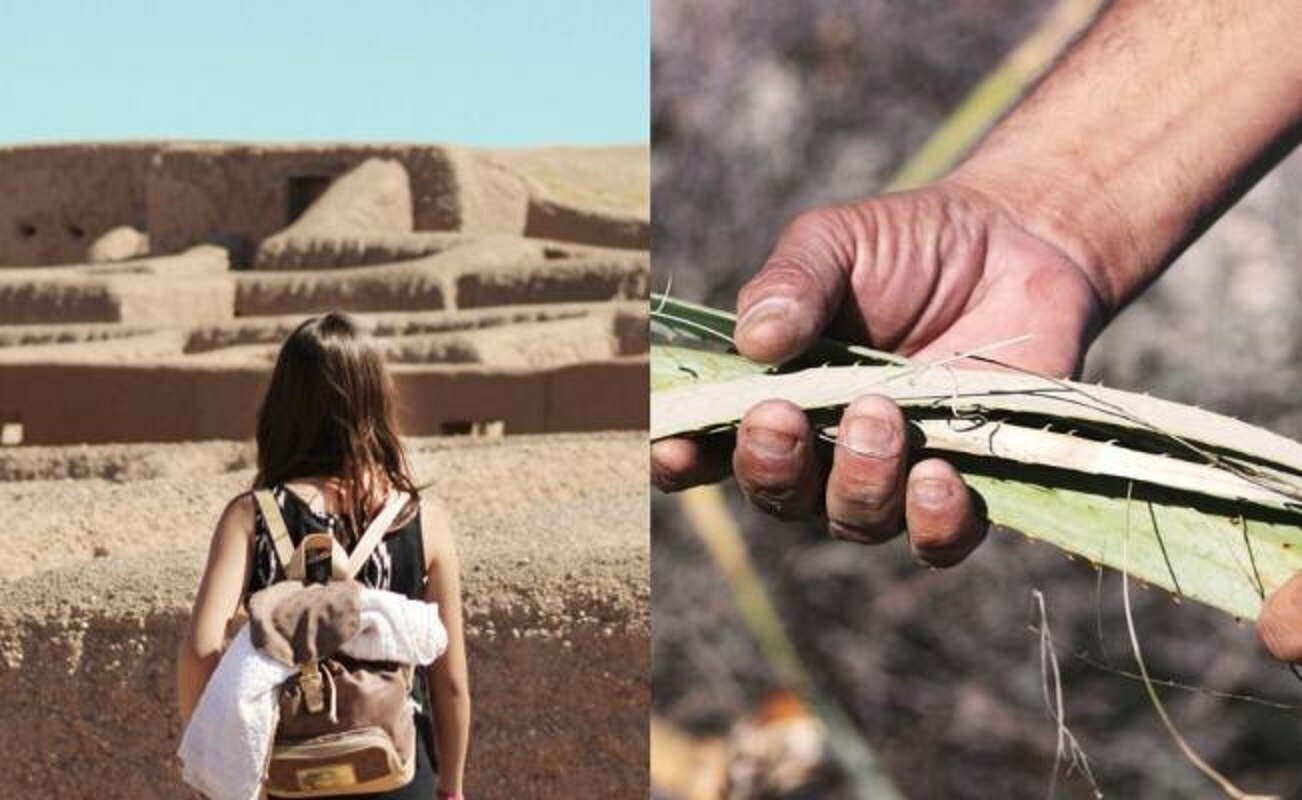 Descubre el sotol, una bebida "desértica"