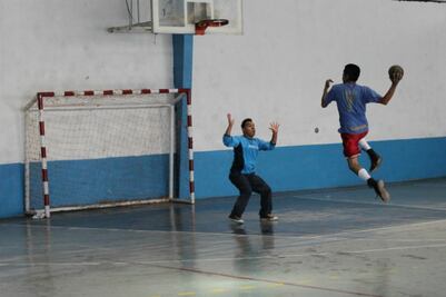 Fructífero año para el handball