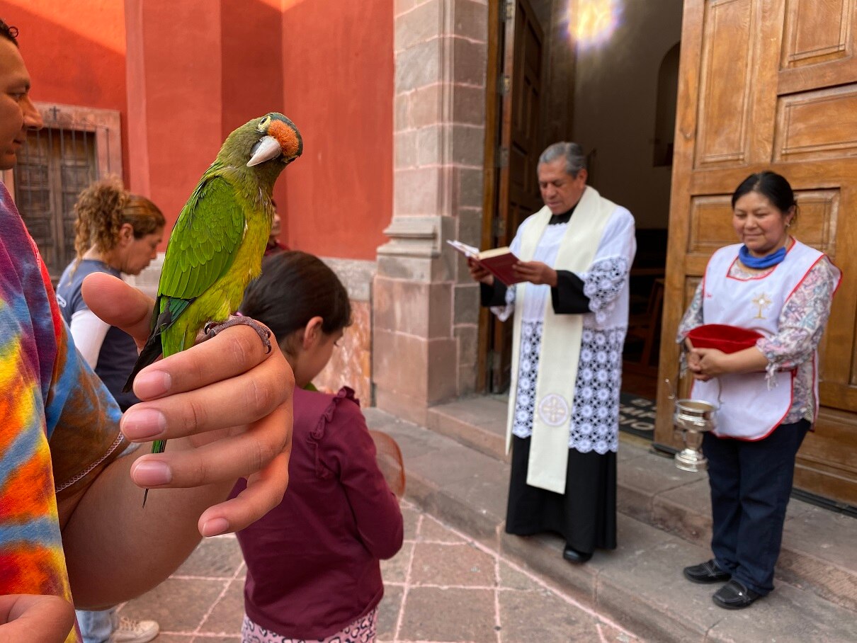 #Crónica| Amor a los animales. Mascotas reciben bendiciones
