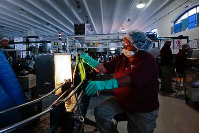 Viñedos, segundo producto turístico