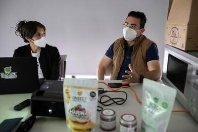 Usan proteína de grillos para elaborar alimentos