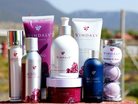 Las bondades de los vinos queretanos