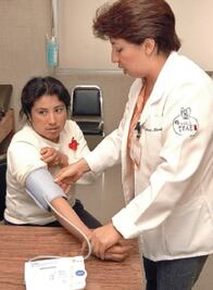 Salud: mil casos por picadura de alacrán