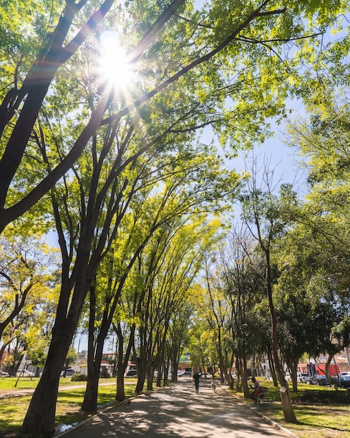 Parque Jardines de la Hacienda. Foto: Fb@Soy QueretaLove
