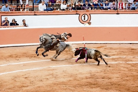 Novillada patria de calidad, sin triunfador
