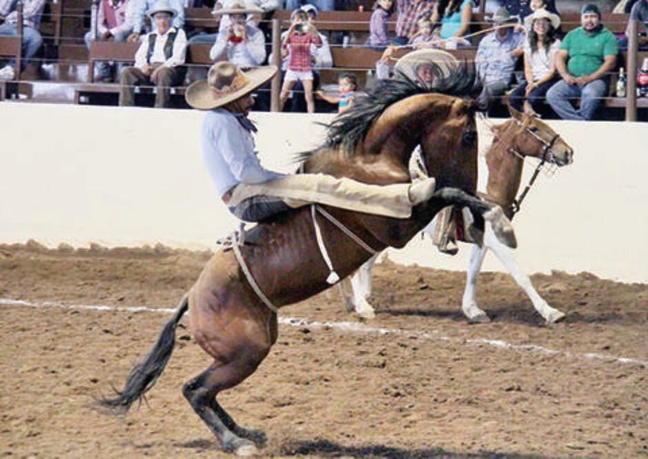 El nayarita Rancho Las Cuatas triunfa