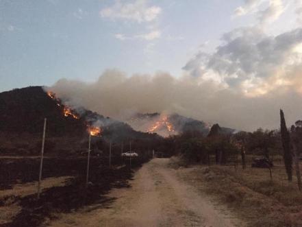Fuego arrasa con 51 hectáreas de cerro en Huimilpan  