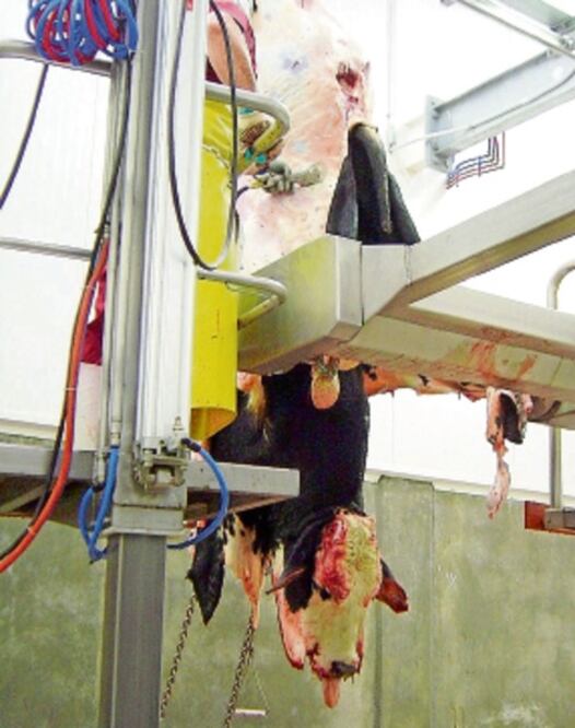 En Corregidora, sólo un incidente