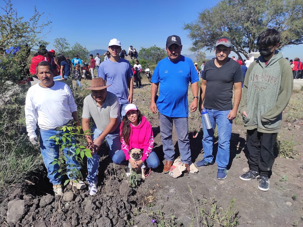 Concluye en SJR campaña de reforestación