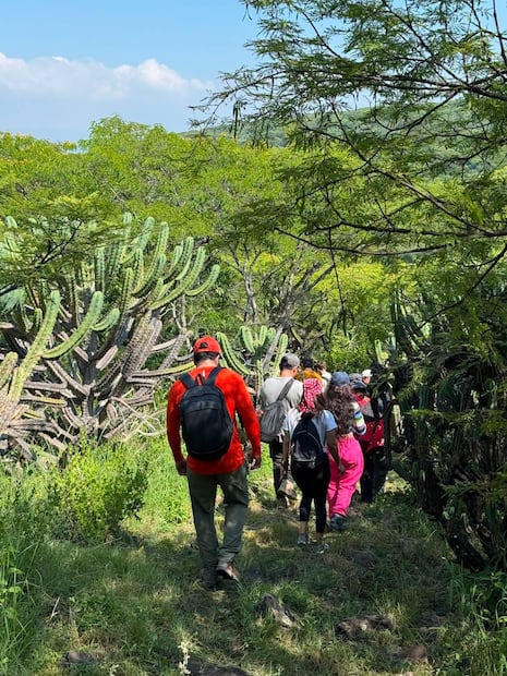 Peña Colorada alberga una importante reserva de flora y fauna. Foto: FB@ Municipio de Querétaro.