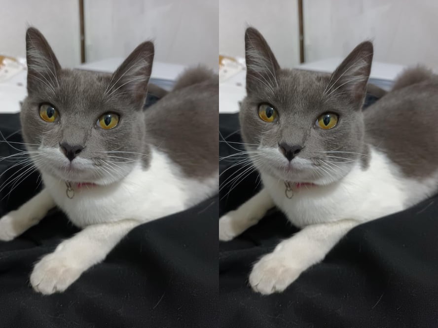 FOTO. CAPTURA DE PANTALLA