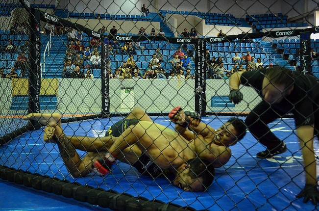 Gladiadores, la juventud se refugia  en las Artes Marciales Mixtas