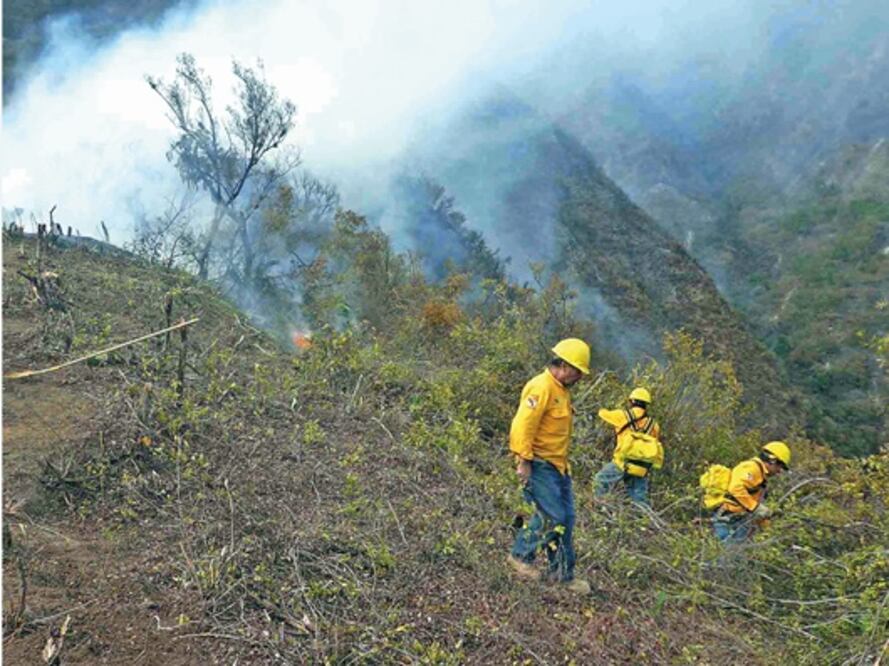 Entidad, con menos incendios forestales