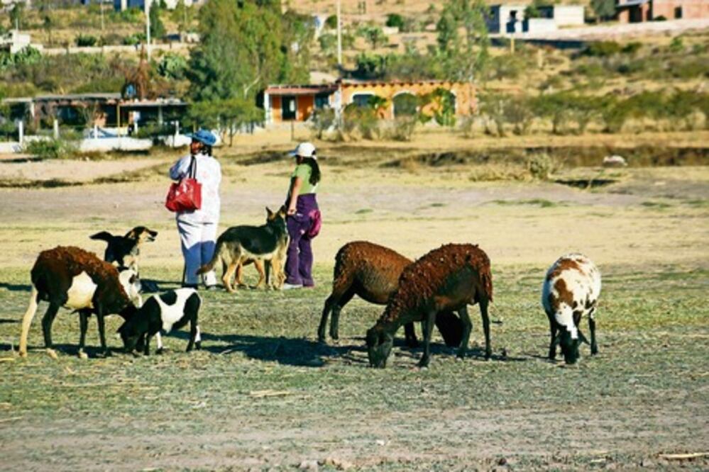 SJR llevará agua a 30 colonias más