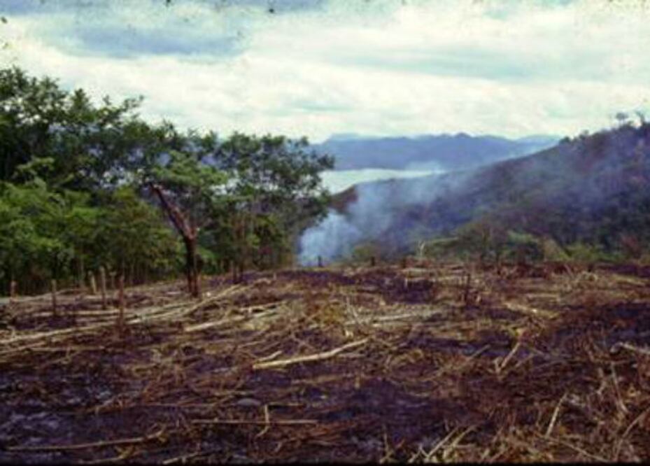 Va SJR por el rescate de su ecosistema