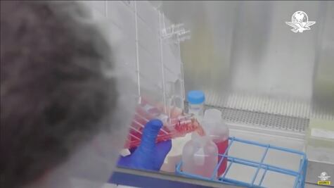 Anuncia AMLO producción de vacuna contra Covid-19 en México y Argentina