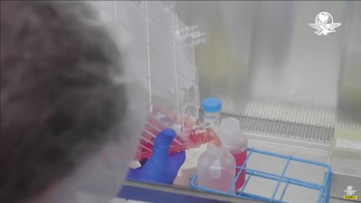 Anuncia AMLO producción de vacuna contra Covid-19 en México y Argentina