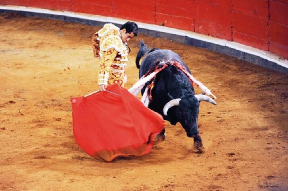  Proponen edad mínima para corridas 