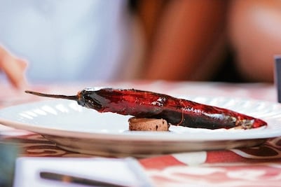 UVM destaca en gastronomía