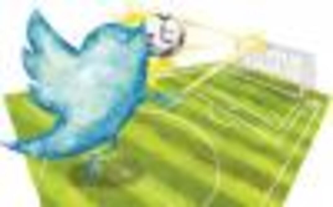 Se enganchan al menor gorjeo