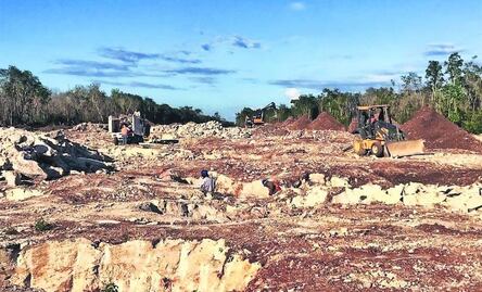 Por daños ambientales, el Tren Maya podría colapsar: especialistas