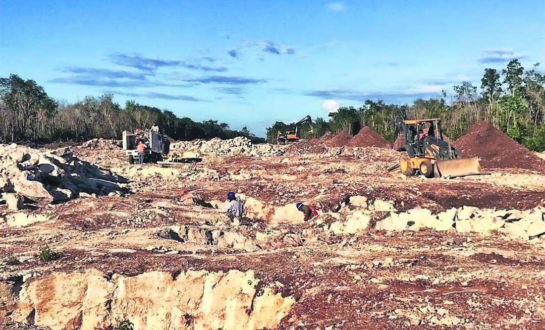 Por daños ambientales, el Tren Maya podría colapsar: especialistas