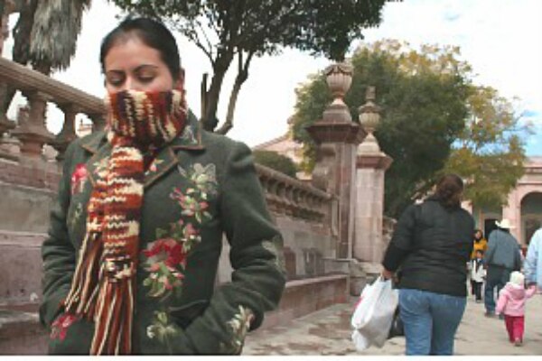 Denuncian falta de apoyo  ante heladas