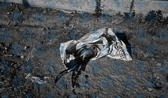 Sin denuncias de lesionados tras ataque en Palenque clandestino