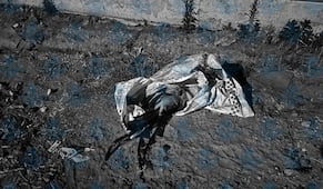 Sin denuncias de lesionados tras ataque en Palenque clandestino