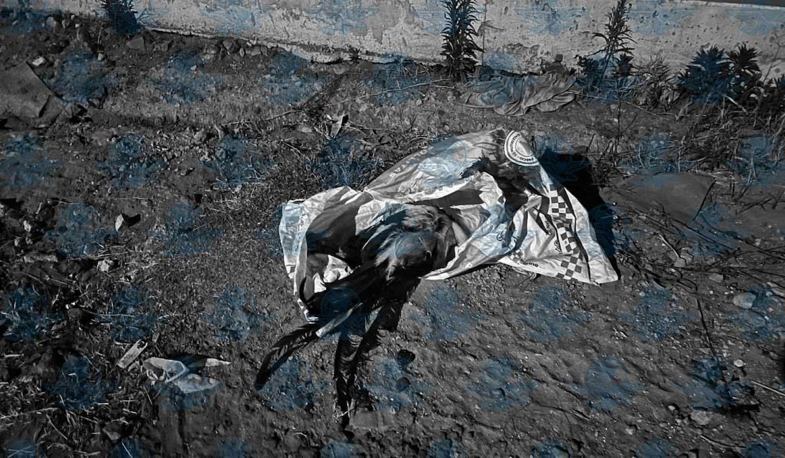 Foto: Ángel González