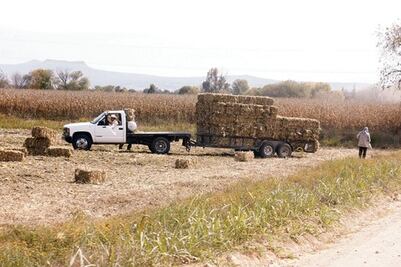 SJR: acaparadores pegan a productores 