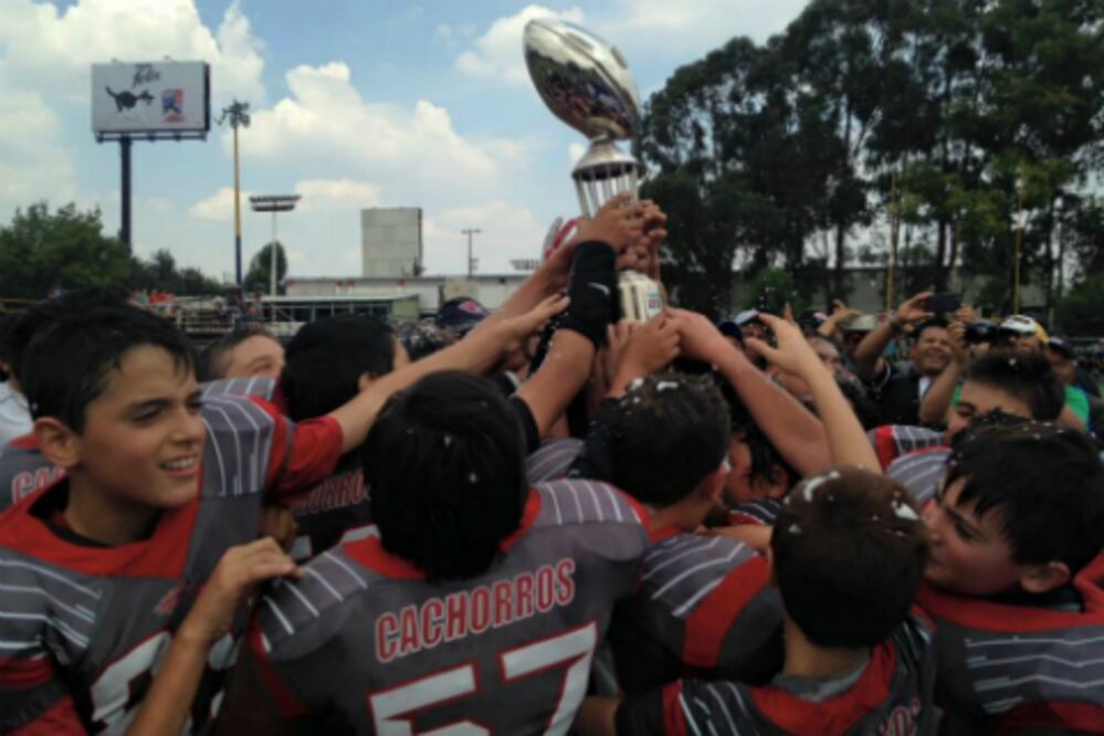 Dos campeonatos para Cachorros en FADEMAC