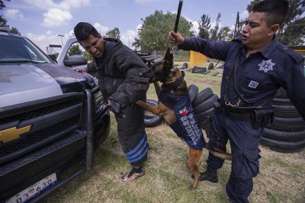 Los perros policías de la SSC, guardianes del orden