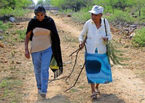Prioridad crear instituto de la mujer en Pinal