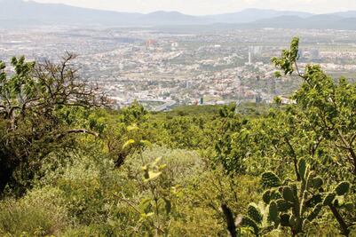 40% del territorio del estado es zona protegida