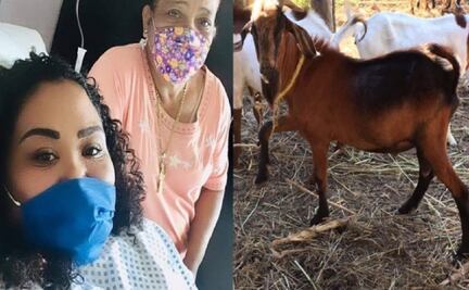 Rifa un chivo; universitaria busca recursos para cirugía de riñón