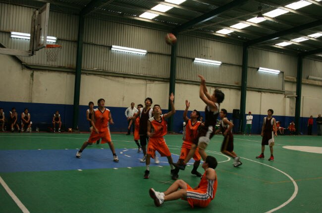 Sin apoyo, Liga de Basquetbol de Hércules