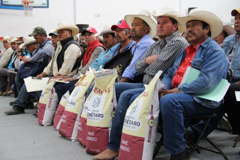 Impulsan  al sector agrícola en SRJ y FCP