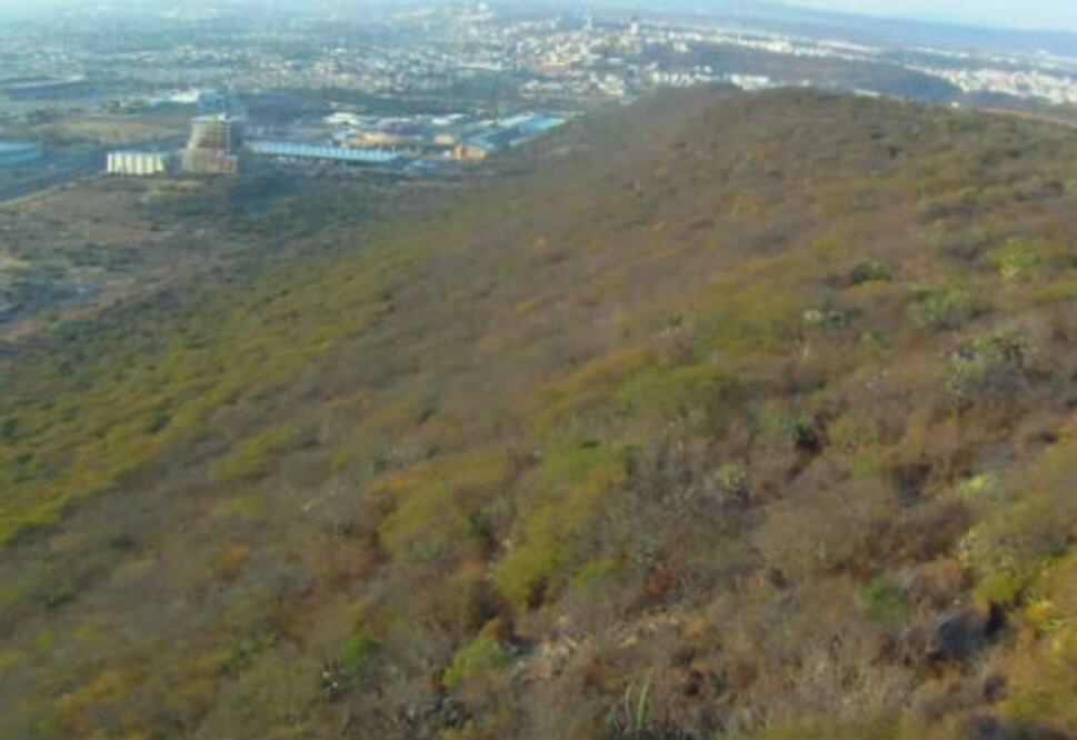 Prevén millonaria multa a Flecha Amarilla